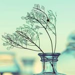 Ethan Falk - @eth.an420 - Instagram
