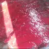 ethanfinley47 - @ethanfinley47 - TikTok