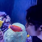 Ethan Fischer - @ethanfisc - Instagram