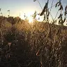 Ethan Fischer - @ethan.fischer22 - TikTok