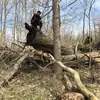 Ethan Fischer - @efischer099 - TikTok