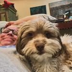 Ethan Forman - @ef_donutty_guy - Instagram