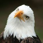 Ethan Forman - @ethan.forman.9 - Instagram
