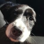 Ethan Forman - @ethanforman887 - Instagram