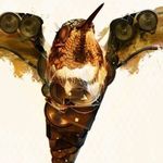 Ethan Frost - @frst_ethan - Instagram