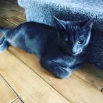 ethan gill - @ethan_gill0821 - Instagram