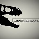 Ethan Gilliam - @carnivoreblock - Instagram