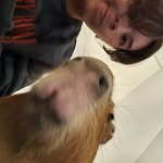 Ethan Gilmore - @ethangilmore_ - Instagram