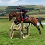 Ethan Godfrey - @ethangodfrey7 - Instagram