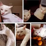 Ethan Godwin - @ethangodwin__ - Instagram