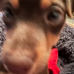 Ethan Godwin - @ethangodwin0826 - Instagram
