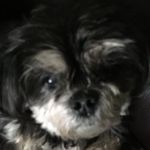 Ethan Golden - @ethangolden7878 - Instagram