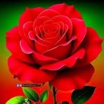 Ethan Grayson - Facebook