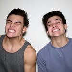 luna - @ethan.grayson.doln - Instagram