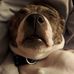Ethan Grimes - Facebook
