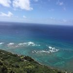 Moana Grimes - @ethan_grimes756 - Instagram