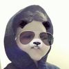 Ethan Guerra - @kermitwashington - TikTok