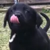 Ethan Guidry - @ethan.guidry14 - TikTok