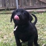 Ethan L Guidry - @ethan_guid - Instagram