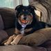 Ethan Harms - Facebook