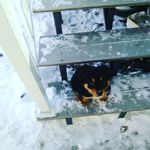Ethan harms - @ethanninja_43 - Instagram