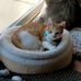 Ethan Hartzell - Facebook