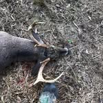 Ethan Hassell - @ethanhassell1721 - Instagram