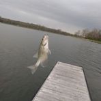 Ethan Heil - Facebook