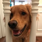 Ethan Heller - @ethan_heller11 - Instagram