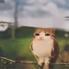 Ethan Helm - @ethan.helm0 - TikTok
