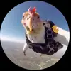e - @ethan1hewitt - TikTok