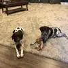 ethan_hewitt1 - @ethan_hewitt1 - TikTok