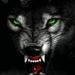 Ethan Hinkle - @ethan.hinkle.965 - Instagram