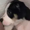 ethan.hogan - @ethan.hogan8 - TikTok