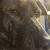 Ethan Hogue - Facebook