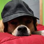 Ethan Hogue - @anonymous62539 - Instagram