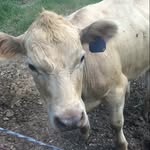 ethan holbrook - @ethan_holbrook10 - Instagram