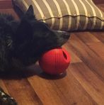 Ethan Hooper - Facebook