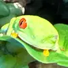 Ethan Hooper - @ethan.hooper31 - TikTok