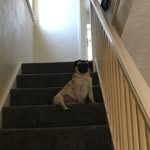 Ethan Hope - @ethanhope6405 - Instagram