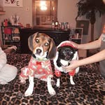 Ethan Horn - @im_try_hard_and_u_r_all_bots - Instagram