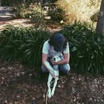 Ethan Horne - @ethanhorne11 - Instagram