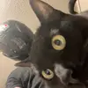 Ethan H - @ethan._600 - TikTok