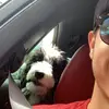 Ethan Hulsey - @ehulsey - TikTok