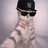 Ethan Humphreys - @ethan.humphreys84 - TikTok