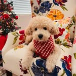 Ethan Hung - @ethan.hung - Instagram