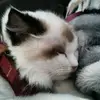 Ethan Hung - @ethan.hung71 - TikTok