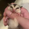 Ethan Hung - @ethan.hung97 - TikTok