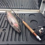 Ethan Hurd - @fish_fish_here_i_come - Instagram