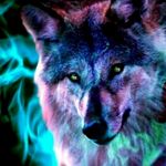 Ethan Hurd - @xxexoticwolfxx - Instagram